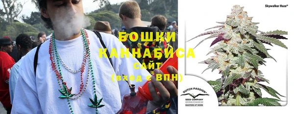 дживик Видное
